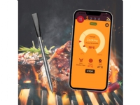 Grillngo Wireless