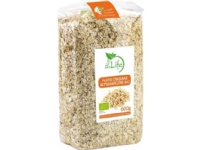 BIO LIFE Instant havregrynsgröt 600g EKO Bio Life
